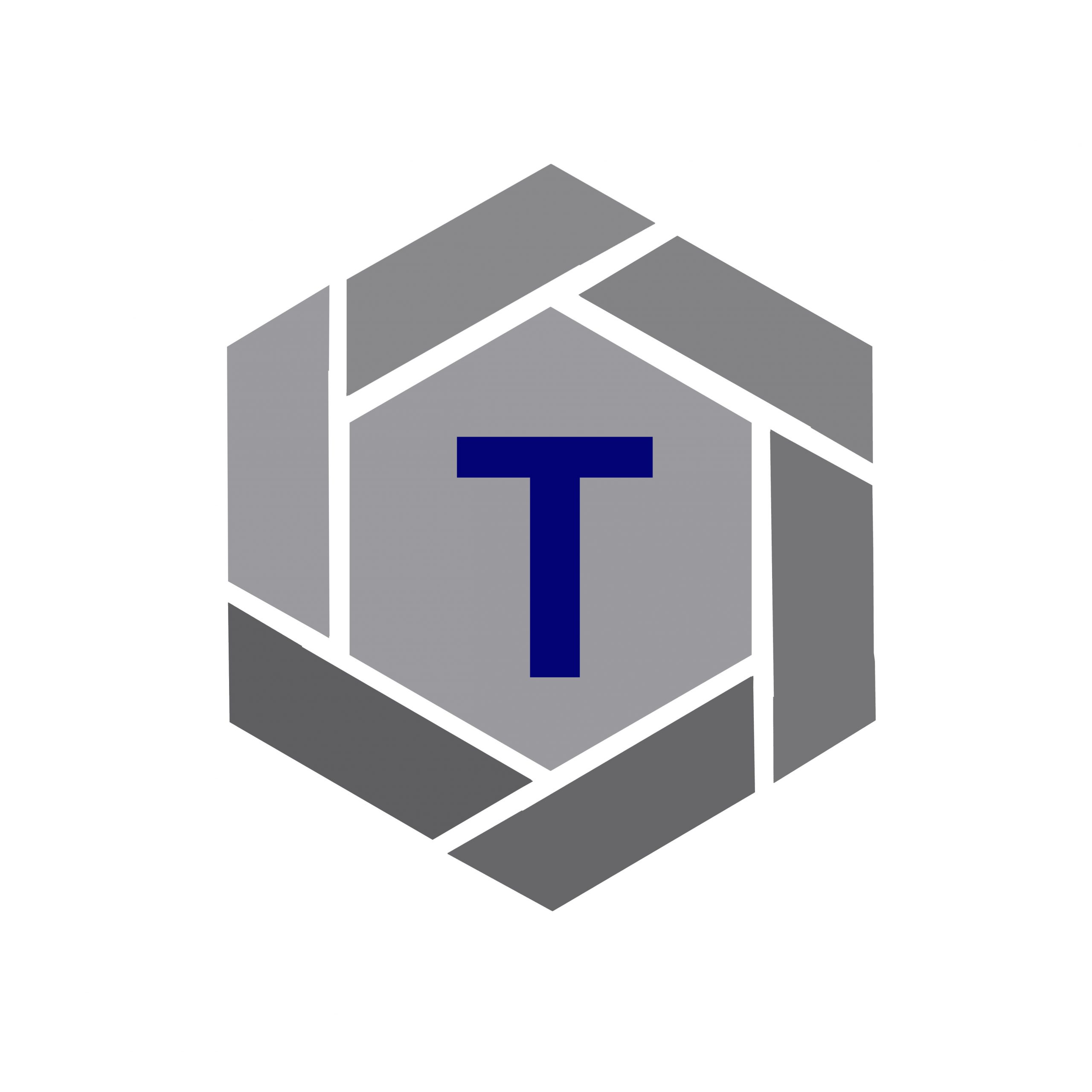 tshepeinv logo